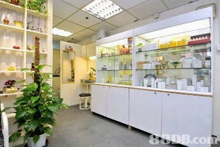 儷妮美容院 專業(yè)美容護膚與皮膚護理服務(wù)